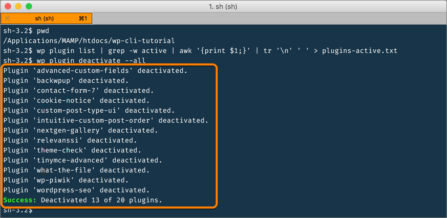 wp-cli ist schnell